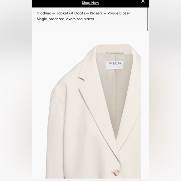 Aritzia Babaton Vogue Blazer, size 3, NWOT, matte pearl - Picture 3 of 11